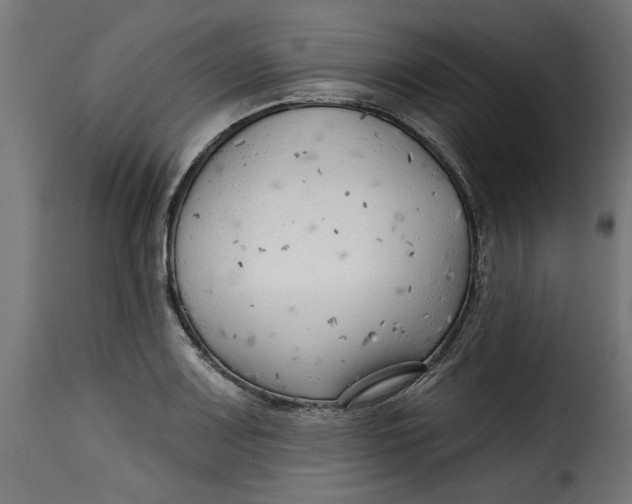 X0000115231083200911201552