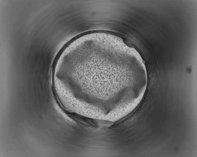 X0000115231084200911201552