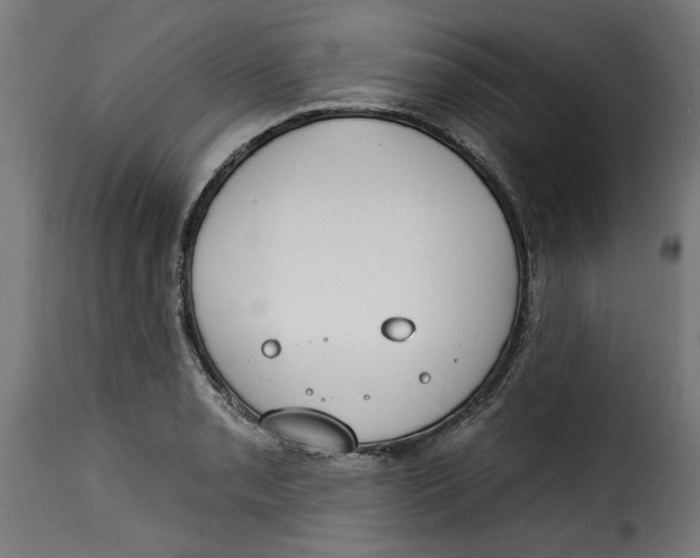 X0000115231085200911201552