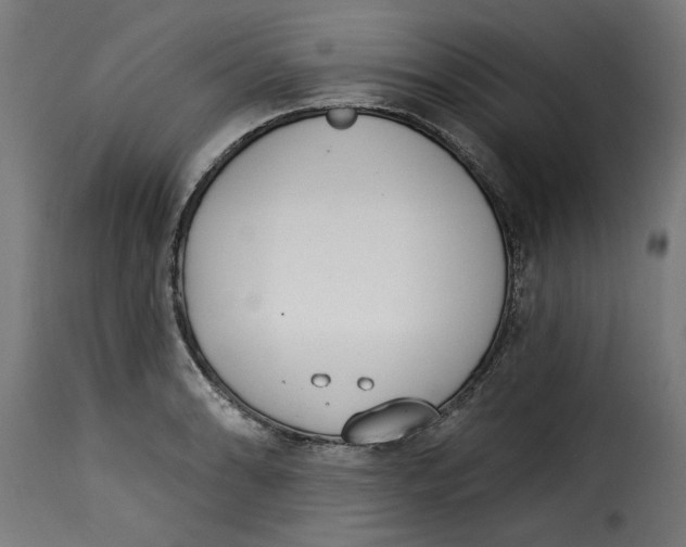 X0000115231086200911201552