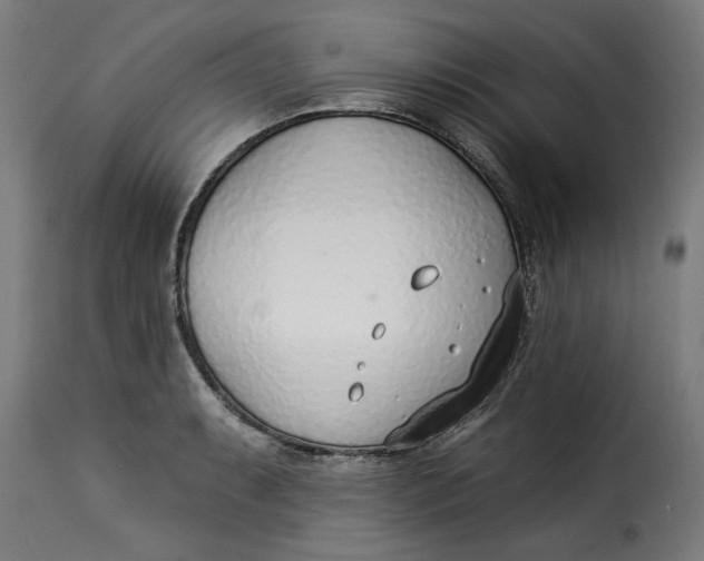 X0000115231087200911201552