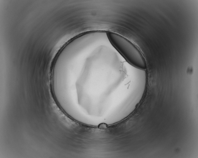 X0000115231088200911201552