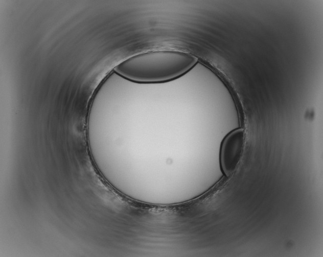 X0000115231089200911201551