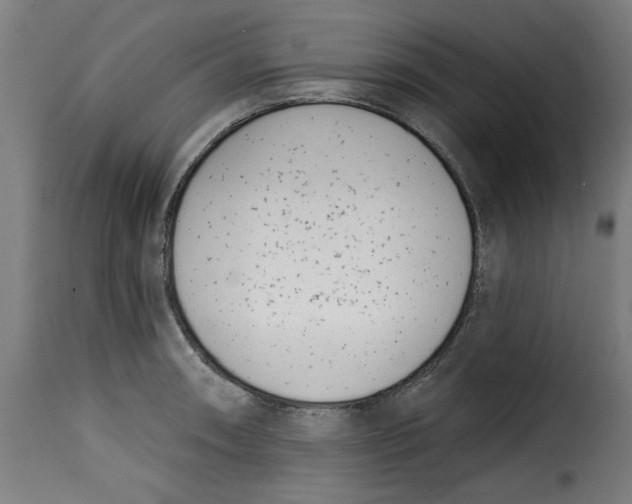 X0000115231090200911201551