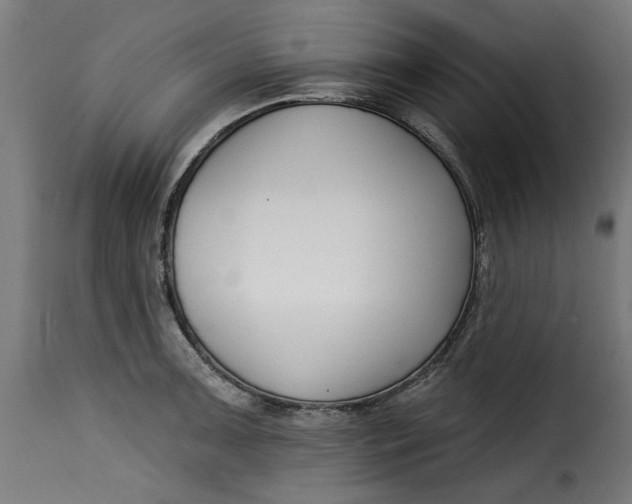 X0000115231091200911201551