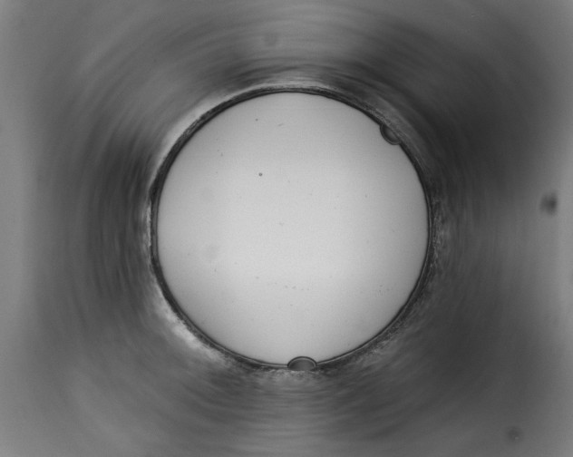 X0000115231092200911201551