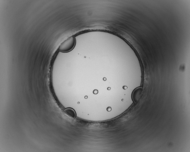 X0000115231093200911201551