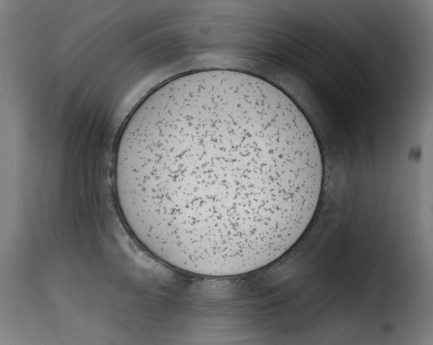 X0000115231094200911201551