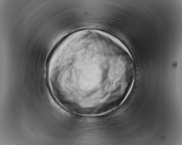 X0000115231095200911201551