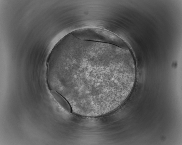 X0000115231096200911201551