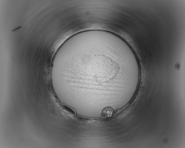 X0000115231097200911201551