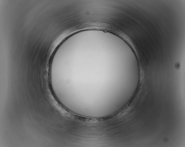 X0000115231099200911201551