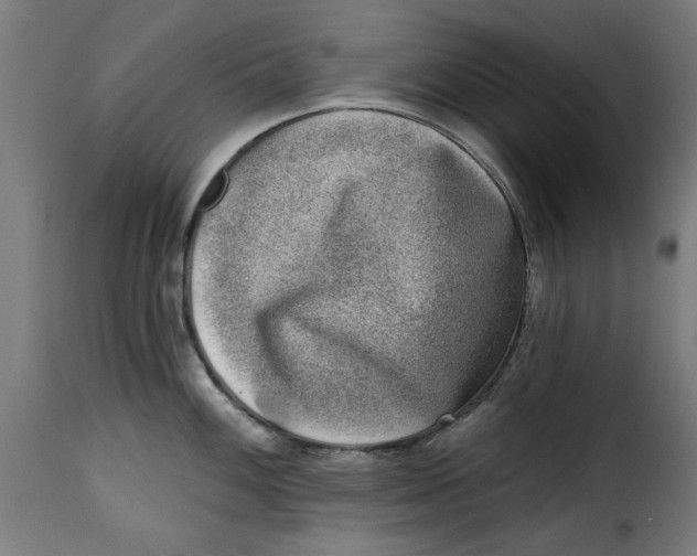 X0000115231100200911201551