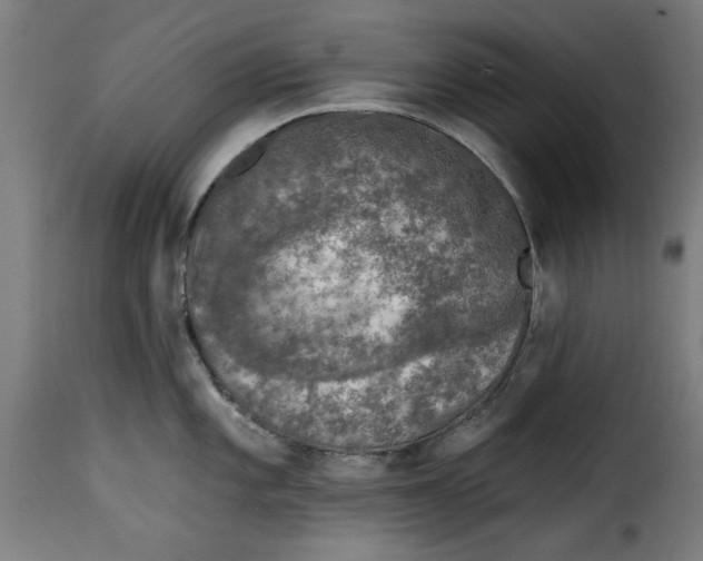 X0000115231101200911201551