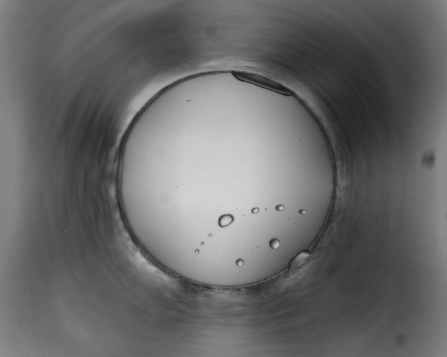 X0000115231102200911201551