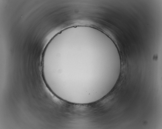 X0000115231103200911201551