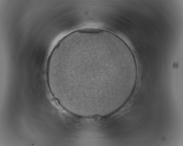 X0000115231104200911201551