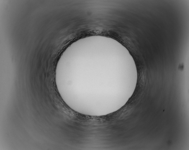 X0000115231105200911201551