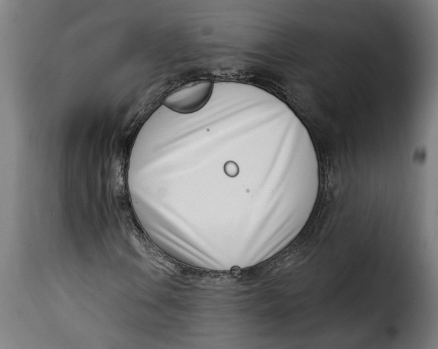 X0000115231106200911201551