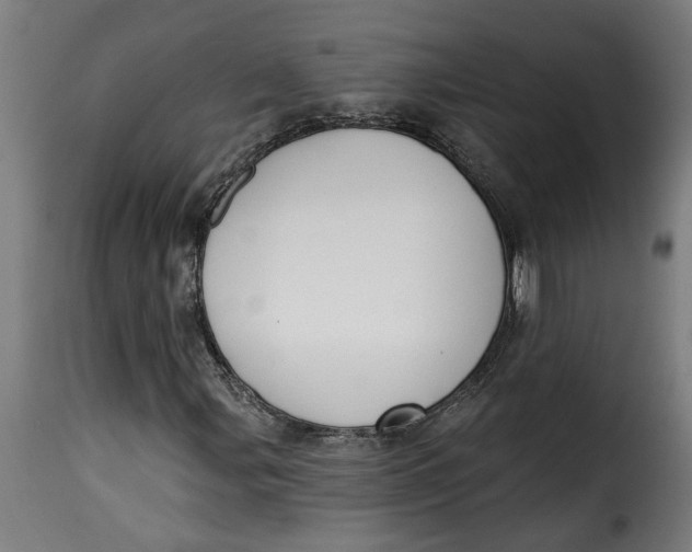 X0000115231107200911201551