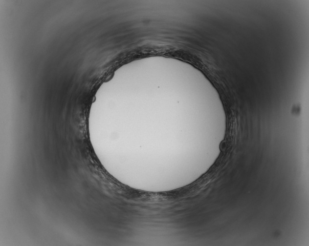 X0000115231109200911201551