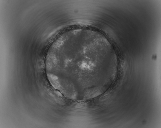 X0000115231110200911201551