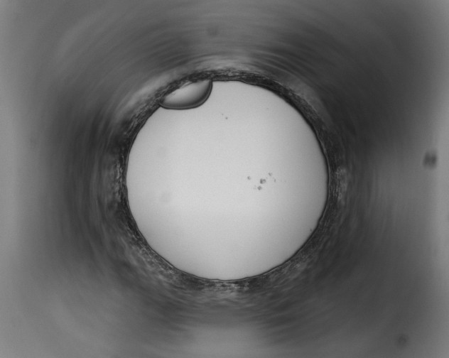 X0000115231111200911201551