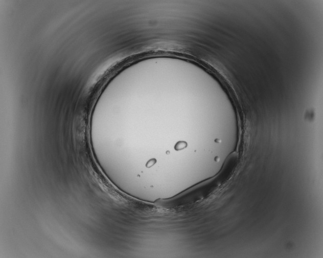 X0000115231115200911201551