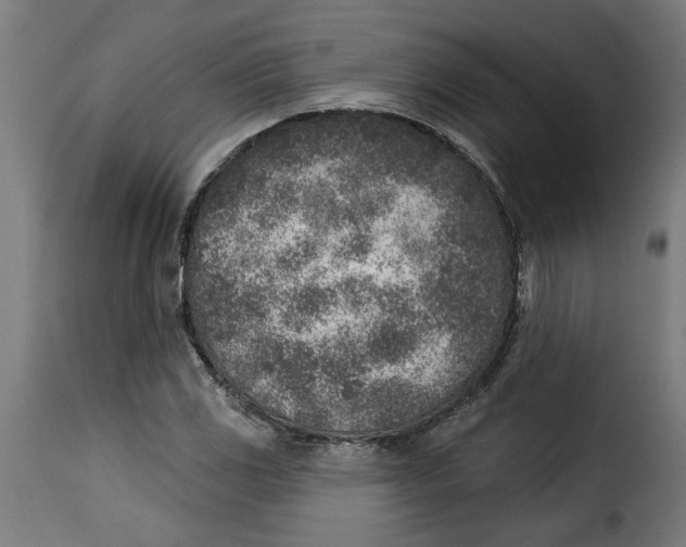 X0000115231117200911201551