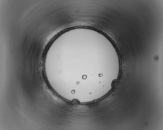 X0000115231119200911201551