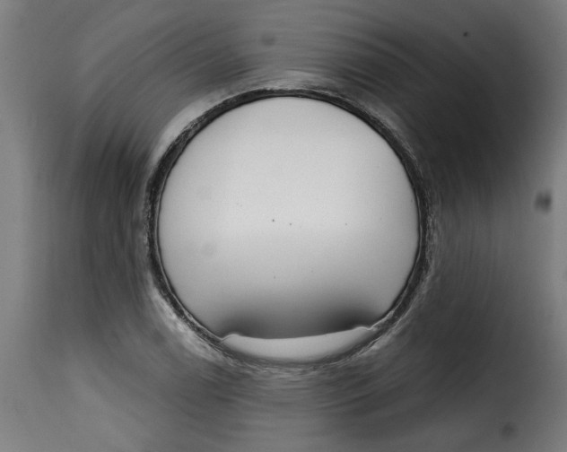 X0000115231122200911201551