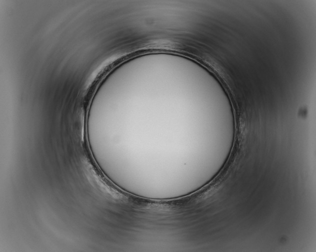 X0000115231123200911201551