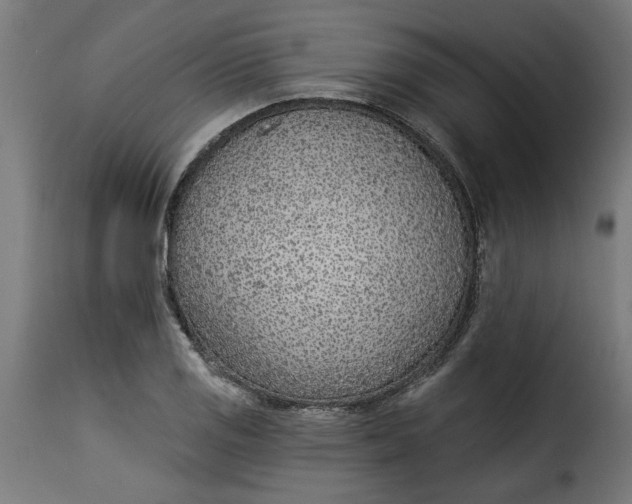 X0000115231125200911201551