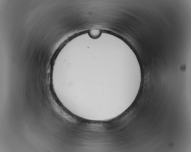 X0000115231126200911201551