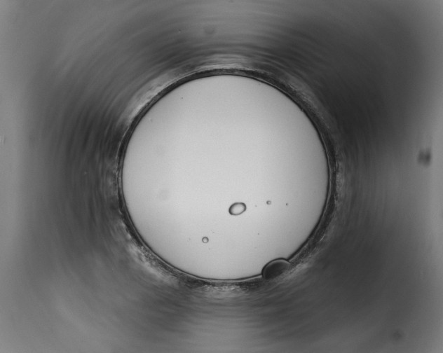 X0000115231129200911201551