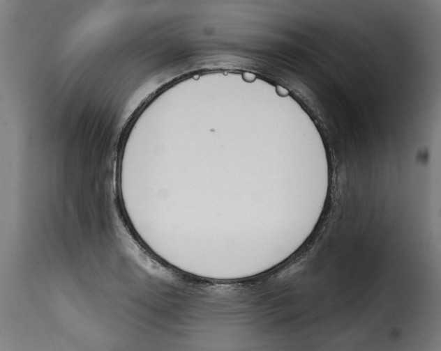 X0000115231130200911201551