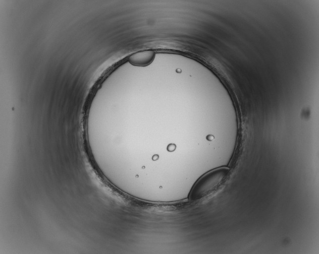 X0000115231133200911201551