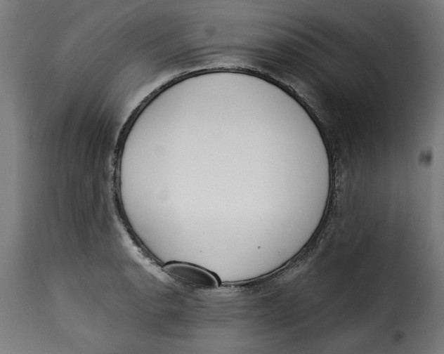 X0000115231134200911201551