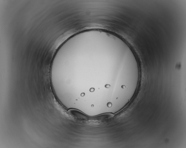 X0000115231137200911201551