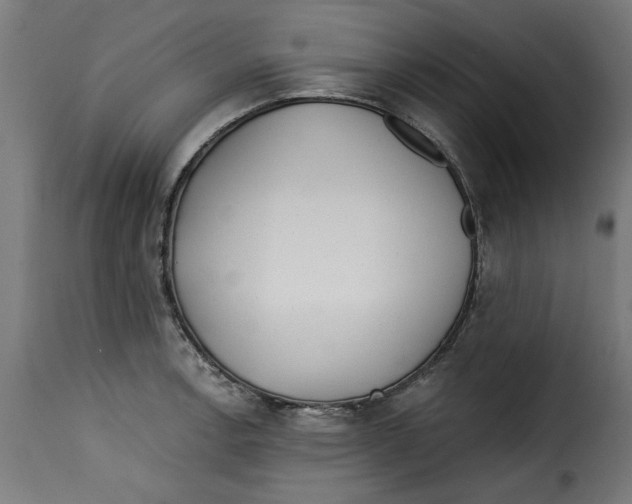 X0000115231138200911201551