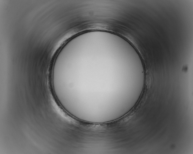 X0000115231139200911201551