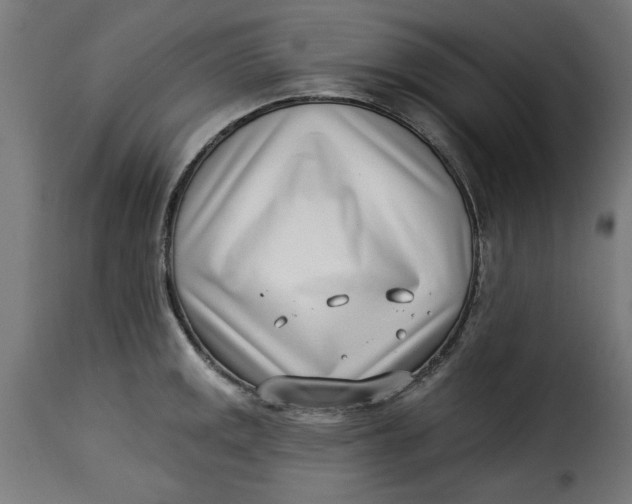 X0000115231141200911201551