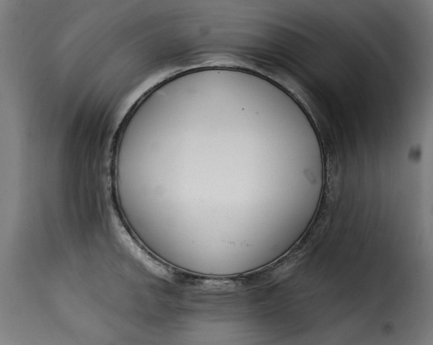 X0000115231142200911201551