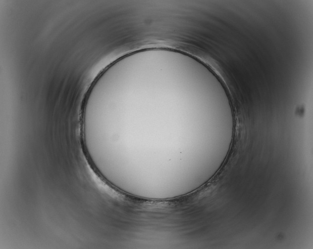 X0000115231143200911201551