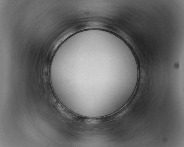 X0000115231145200911201551