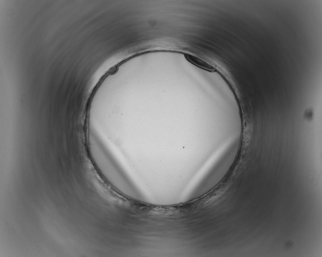 X0000115231146200911201551