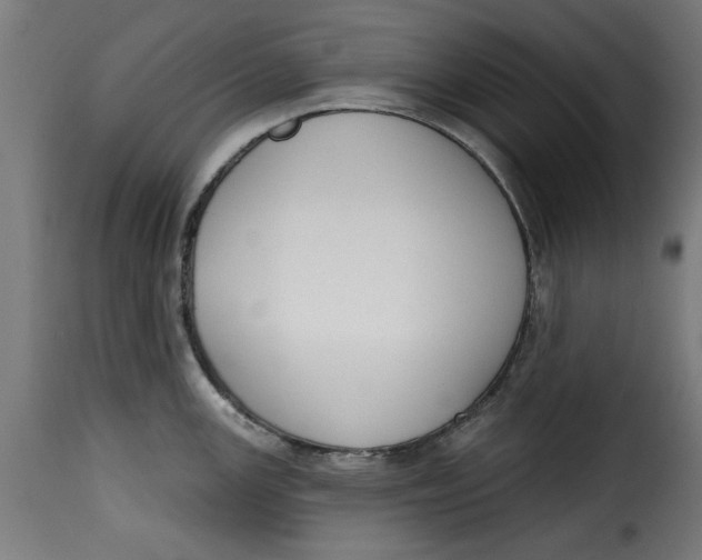 X0000115231147200911201551