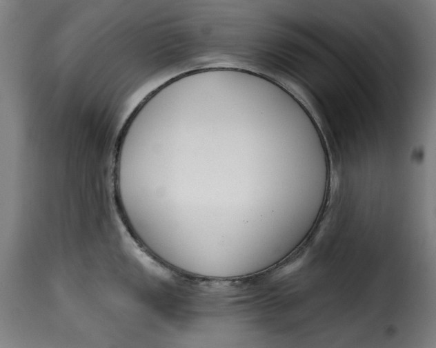 X0000115231149200911201551