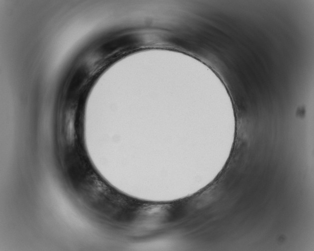 X0000115231150200911201551