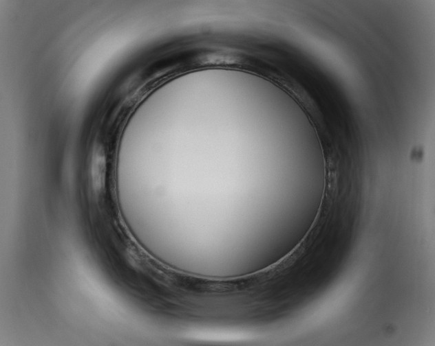 X0000115231151200911201551